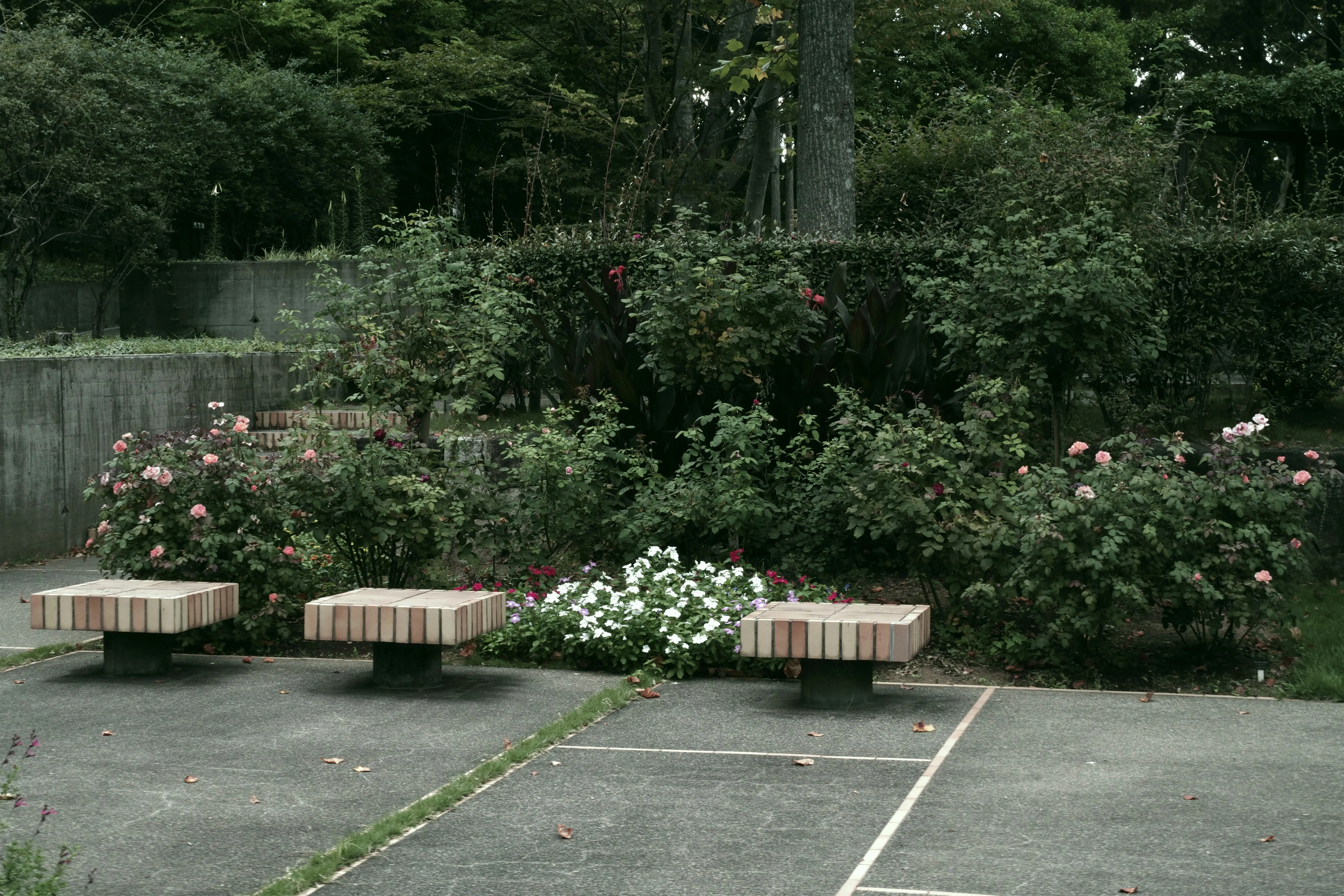 Screening & Fencing